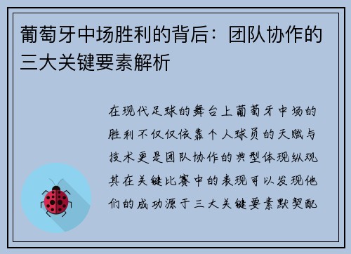 葡萄牙中场胜利的背后：团队协作的三大关键要素解析