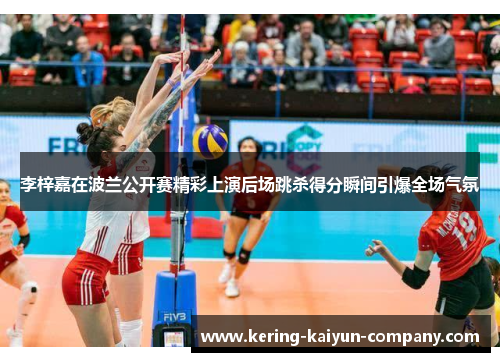 李梓嘉在波兰公开赛精彩上演后场跳杀得分瞬间引爆全场气氛 李梓嘉在波兰公开赛精彩上演后场跳杀得分瞬间引爆全场气氛