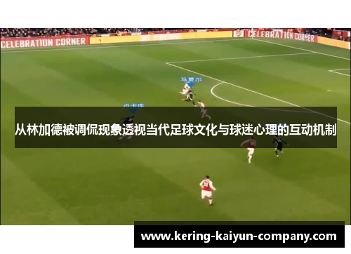 从林加德被调侃现象透视当代足球文化与球迷心理的互动机制