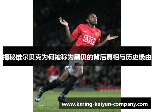 揭秘维尔贝克为何被称为黑贝的背后真相与历史缘由 揭秘维尔贝克为何被称为黑贝的背后真相与历史缘由