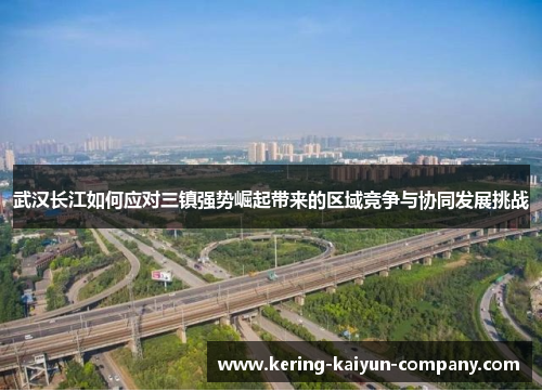 武汉长江如何应对三镇强势崛起带来的区域竞争与协同发展挑战