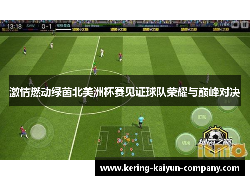 激情燃动绿茵北美洲杯赛见证球队荣耀与巅峰对决 激情燃动绿茵北美洲杯赛见证球队荣耀与巅峰对决