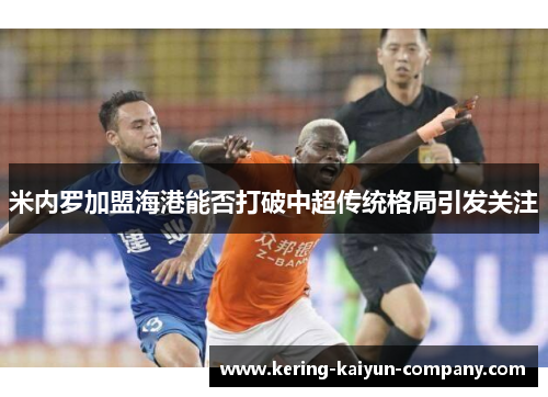 米内罗加盟海港能否打破中超传统格局引发关注