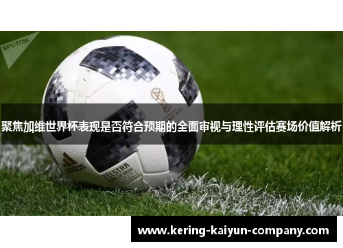 聚焦加维世界杯表现是否符合预期的全面审视与理性评估赛场价值解析