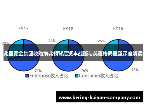弗里德金集团收购埃弗顿背后资本战略与英超格局重塑深度解读